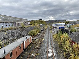 Bjørnevatns station