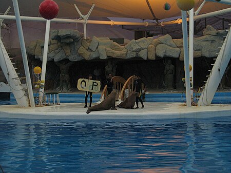 Kish Island Dolphin park.jpg