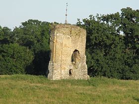 Illustratieve afbeelding van het artikel Château de Knepp