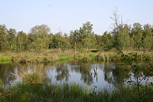 Naturschutzgebiet Kollrunger Moor