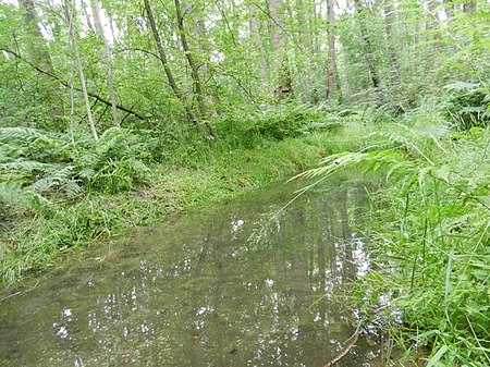 Krebsbach (Helpensteiner Bach) 1