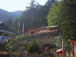 Kumanonachitaisha8452.jpg