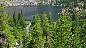 Illustrasjonsbilde av artikkelen Lac Cornu (Aosta Valley)