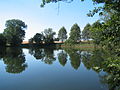 Großer See bei Hohengüstow