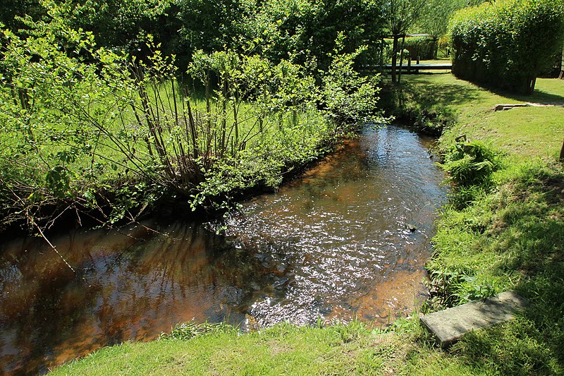 File:Les jardins de la motte à Raizeux le 17 mai 2015 - 24.jpg