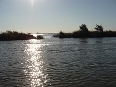 Liberty Island (5204972246).jpg