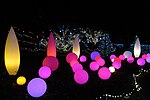 Thumbnail for File:Light garden, Phipps Conservatory, during the Winter Flower Show and Light Garden, 2024-01-05, 02.jpg