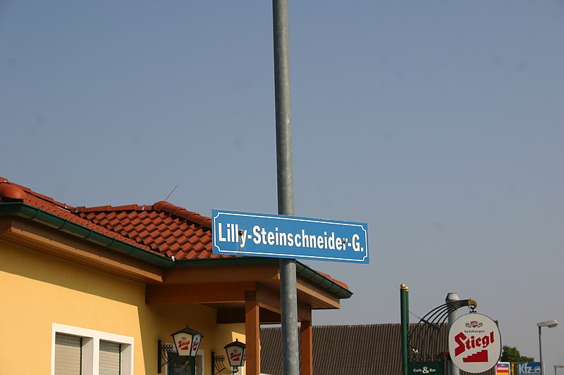 File:Lilly Steinschneider Gasse Bécsújhely.jpeg