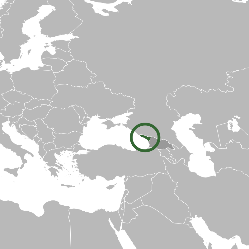 Description de l'image Location of the region of Abkhazia in Eastern Europe.svg.