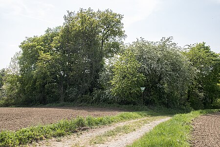 Mühltal Vogelschutzgehölz