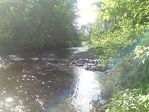 Mündung der Großen Steinau nahe Aschenhütte