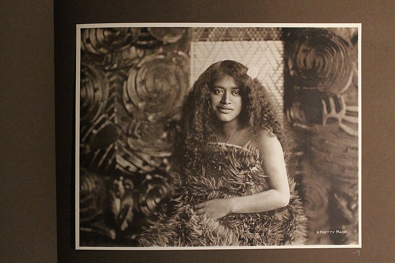 File:Maori girl. Portrait, 1891. (5beb49ad-2ada-48d1-9ee8-b2ce872dce45).JPG