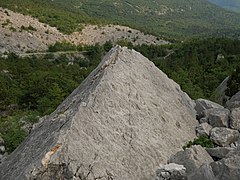 Blockhalde mit Ichnofossilien