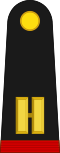 Mexico army OF1b.svg