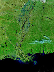 Satellitenaufnahme des unteren Mississippis (Falschfarben)