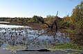 2009年4月15日 (水) 14:12時点における版のサムネイル