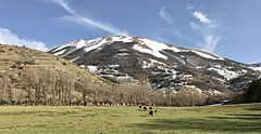 Monte San Franco dal bivio della strada statale 80 del Gran Sasso d'Italia per Campotosto