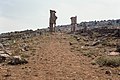 Monumental Arch, Qalat Sem'an Complex (قلعة سمعان), Syria - View from west - PHBZ024 2016 2099 - Dumbarton Oaks.jpg