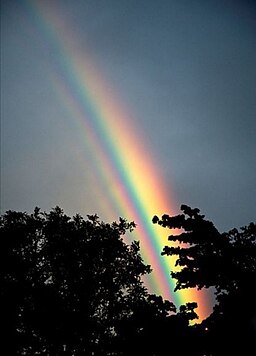 Morning rainbow