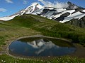 Mount Baker