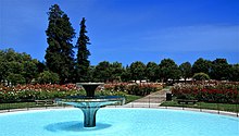 The San Jose Municipal Rose Garden during springtime. Municipal Rose Garden Fountain, San Jose.jpg