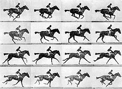 Animation of Muybridge's race horse photos