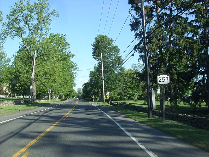 File:NY 257 through Manlius.jpg