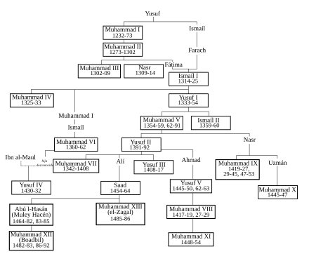 A large family tree of the Nasrid dynasty, including more than ten generations and more than twenty Sultans