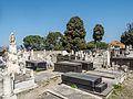 * Nomination Jewish cemetery in Nice --Ermell 07:07, 14 July 2016 (UTC) * Promotion Good quality. --Jacek Halicki 08:19, 14 July 2016 (UTC)