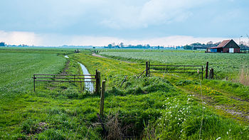 Deel van het tracé van de vroegere dijk vanaf de Friesestraatweg in de richting van Okswerd