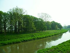 L'Oder vicino a Racibórz