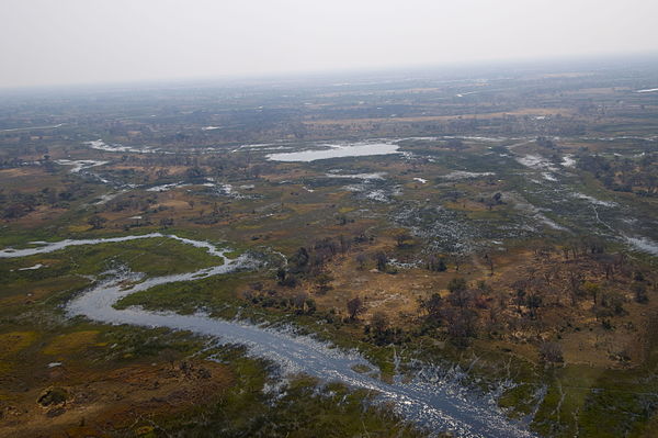 Aerial view of delta as floodwaters recede, August 2012