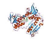 1dnc: HUMAN GLUTATHIONE REDUCTASE MODIFIED BY DIGLUTATHIONE-DINITROSO-IRON