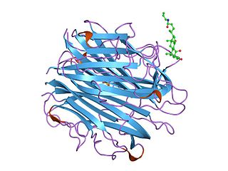 <span class="mw-page-title-main">Complement component 1q</span> Protein complex