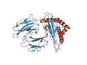 PDB 2axg EBI.jpg