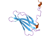 PDB 2h41 EBI.png