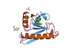 3fit: Complex FHIT (proteïna tríada histidina fràgil) amb AMP anàleg adenosina/sulfat