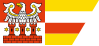 Bandeira do Condado de Międzychód