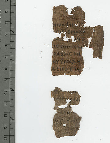 Papyrus 120