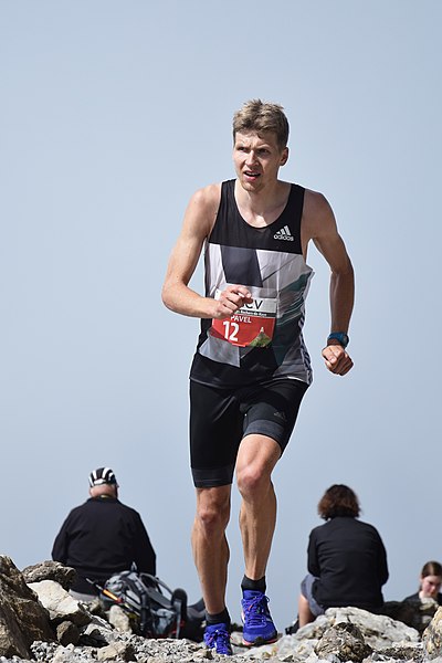 File:Pavel Brydl Montreux-Rochers-de-Naye 2016-cropped.jpg