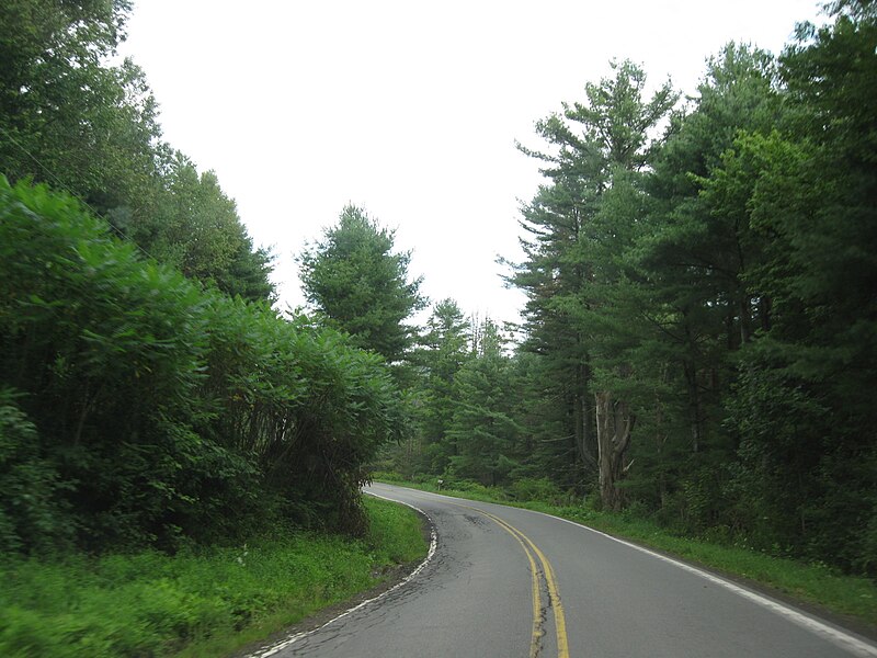 File:Pennsylvania State Route 167 - 4170320249.jpg