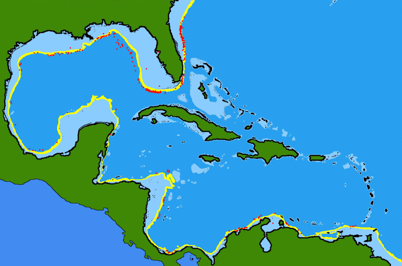 File:Peristedion greyae range.png