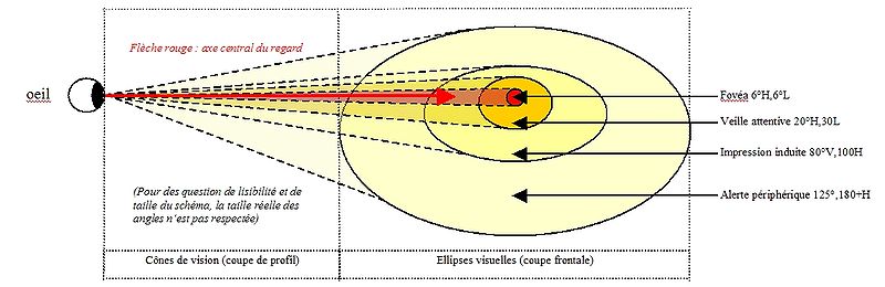 File:Perspective-visuelle-graphe-explicatif1.jpg