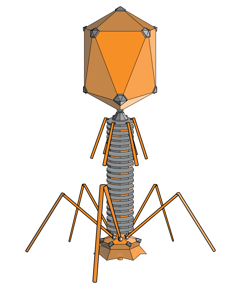 File:Técnico en Emergencias Sanitarias.png - Wikimedia Commons