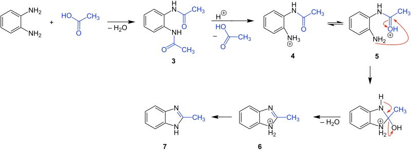 File:Phillips-Ladenburg-Benzimidazol-Synthese Reaktionsmechanismus V6b.svg