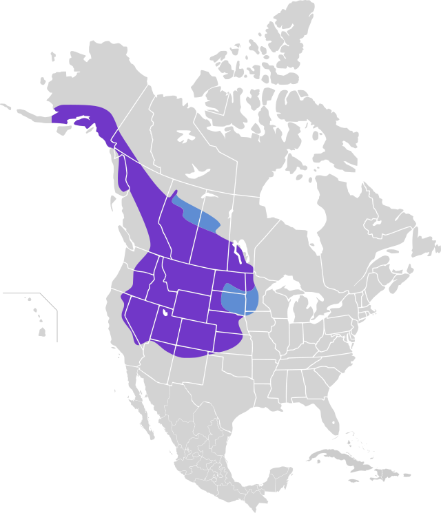 Mapa występowania