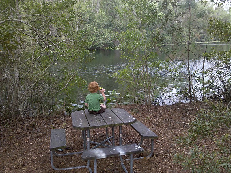 File:Picnic at UNF - panoramio.jpg