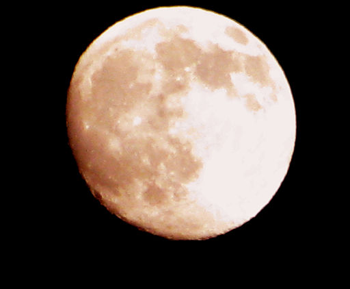 Pink Moon (2936081649)