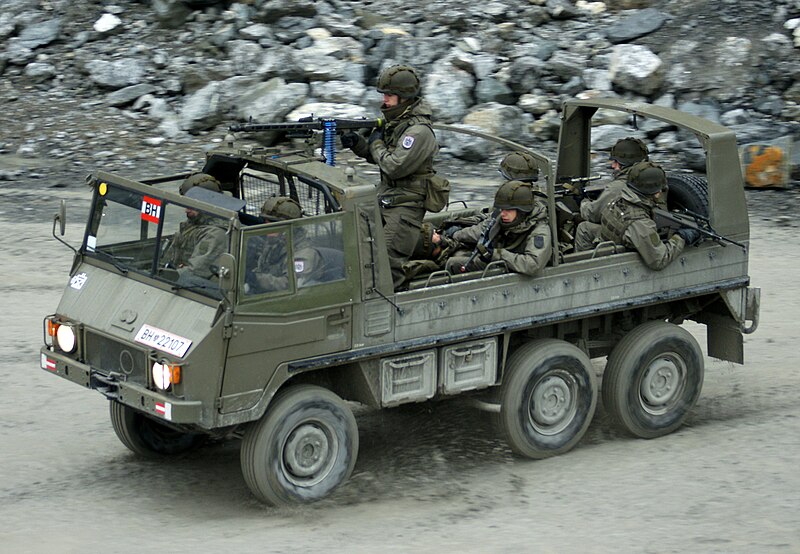 800px-Pinzgauer_Typ712M_Austria_2.JPG