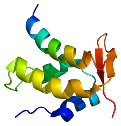 Ақуыз CTDP1 PDB 1onv.png